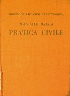 Manuale della pratica civile