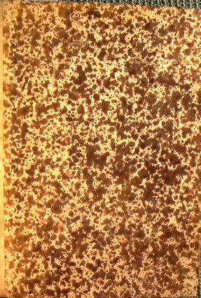 Angeli a Gambilionibus de Aretio, i.c. clarissimi In quattuor Institutionum Iustiniani Libros Commentaria...Ex vetustissimis exemplaribus repraesentata, & accurata diligentia…