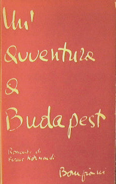 Un'avventura a Budapest