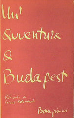 Un'avventura a Budapest