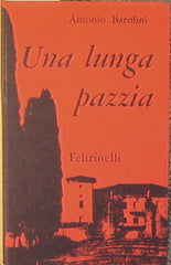Una lunga pazzia