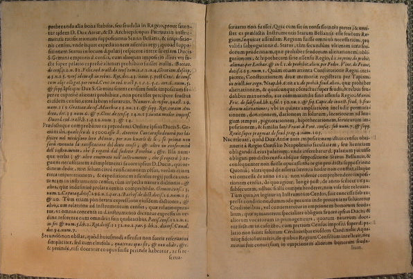 Decisio S. Rotae Romanae Coram R.mo D. Dunozet in causa Romana Census, feu depositi - Lunae 21. Juny 1641