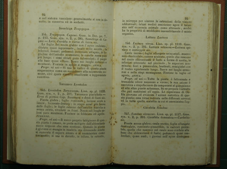 Florula medica siciliana o Esposizione delle piante indigene medicinali