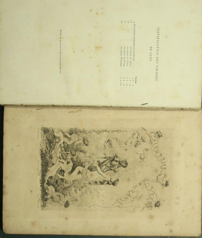Le calendrier de Venus
