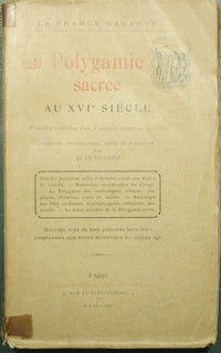 La polygamie sacree au XVI siecle