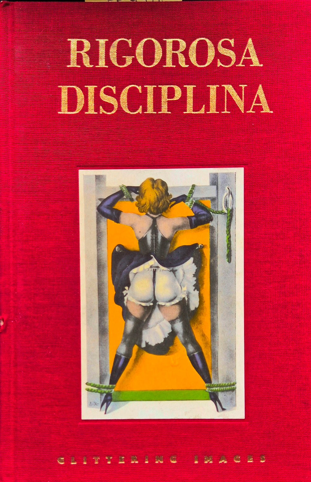 Rigorosa disciplina