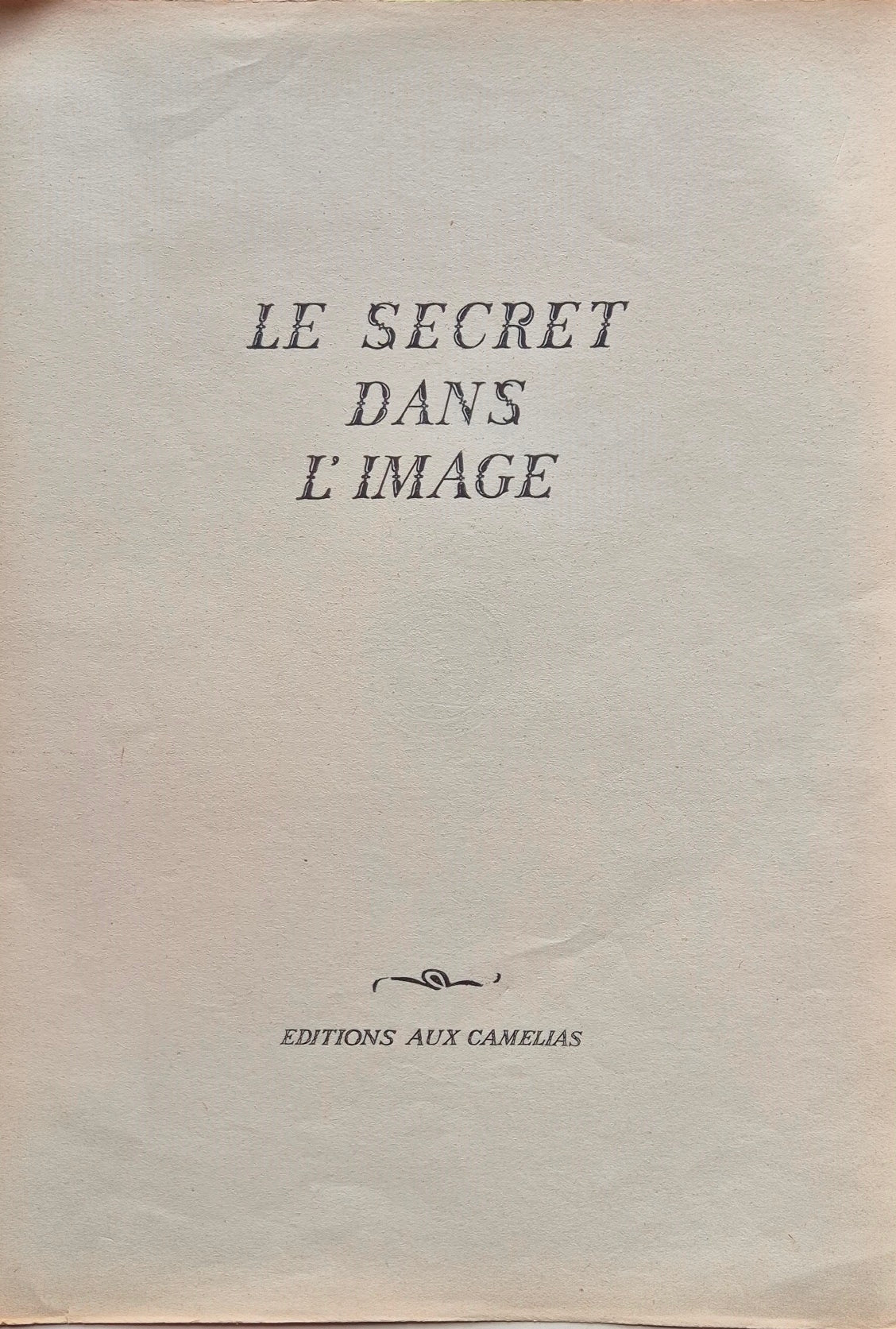 Le secret dans l'image