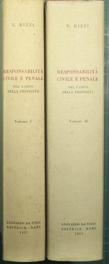 Civil and criminal liability in the field of property and public and private works