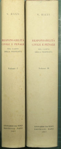 Civil and criminal liability in the field of property and public and private works