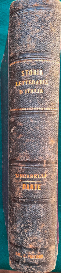 Storia letteraria d'Italia - Dante