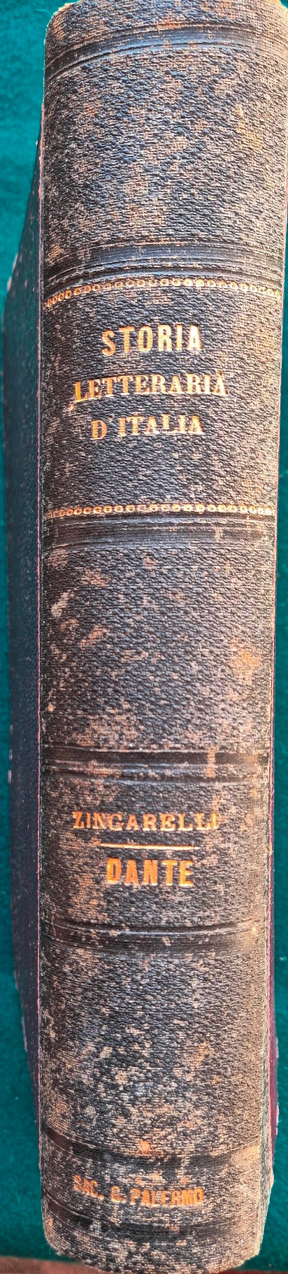 Storia letteraria d'Italia - Dante