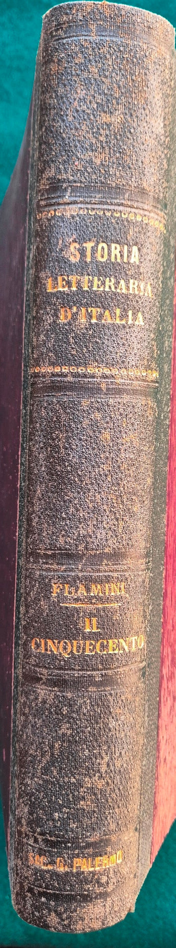 Storia letteraria d'Italia - Il Cinquecento
