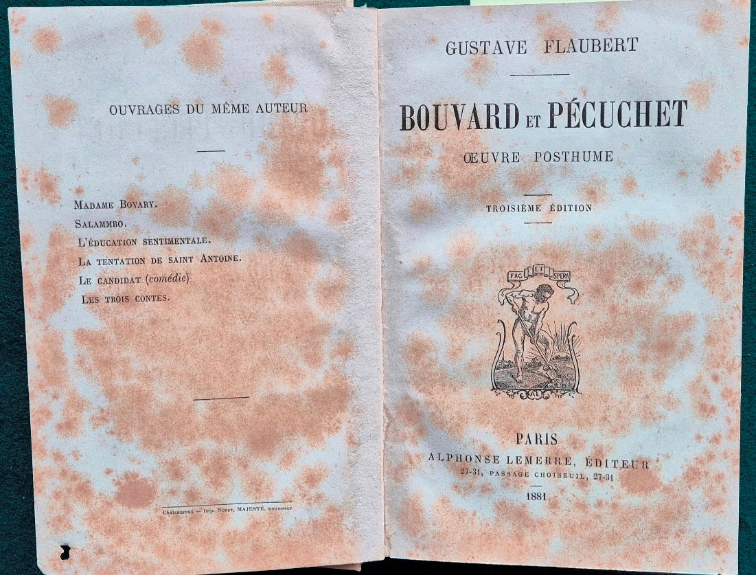 Bouvard et Pecuchet