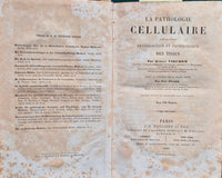 La pathologie cellulaire basee sur l'etude physiologique et pathologique des Tissus