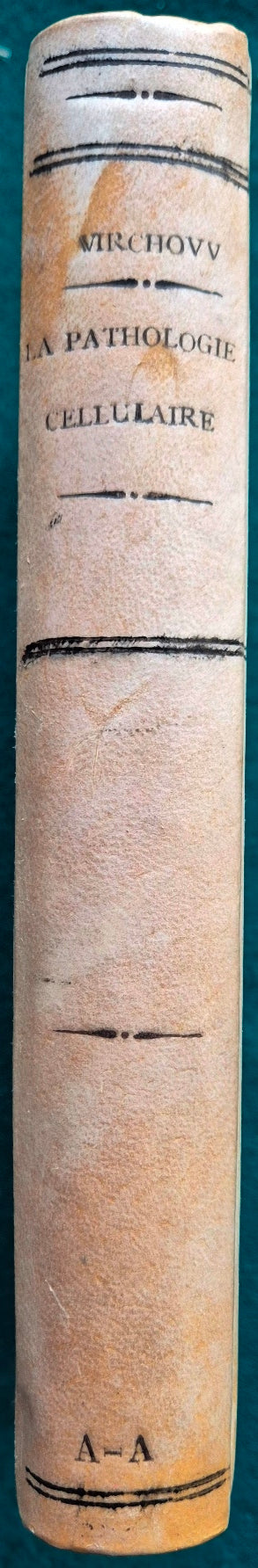 La pathologie cellulaire basee sur l'etude physiologique et pathologique des Tissus