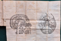 Compendio elementare di fisiologia