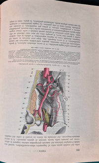Trattato di anatomia topografica con applicazioni medico-chirurgiche - Vol. I