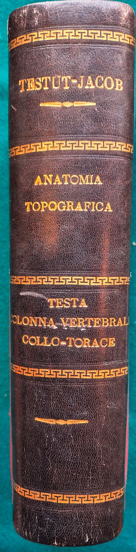 Trattato di anatomia topografica con applicazioni medico-chirurgiche - Vol. I