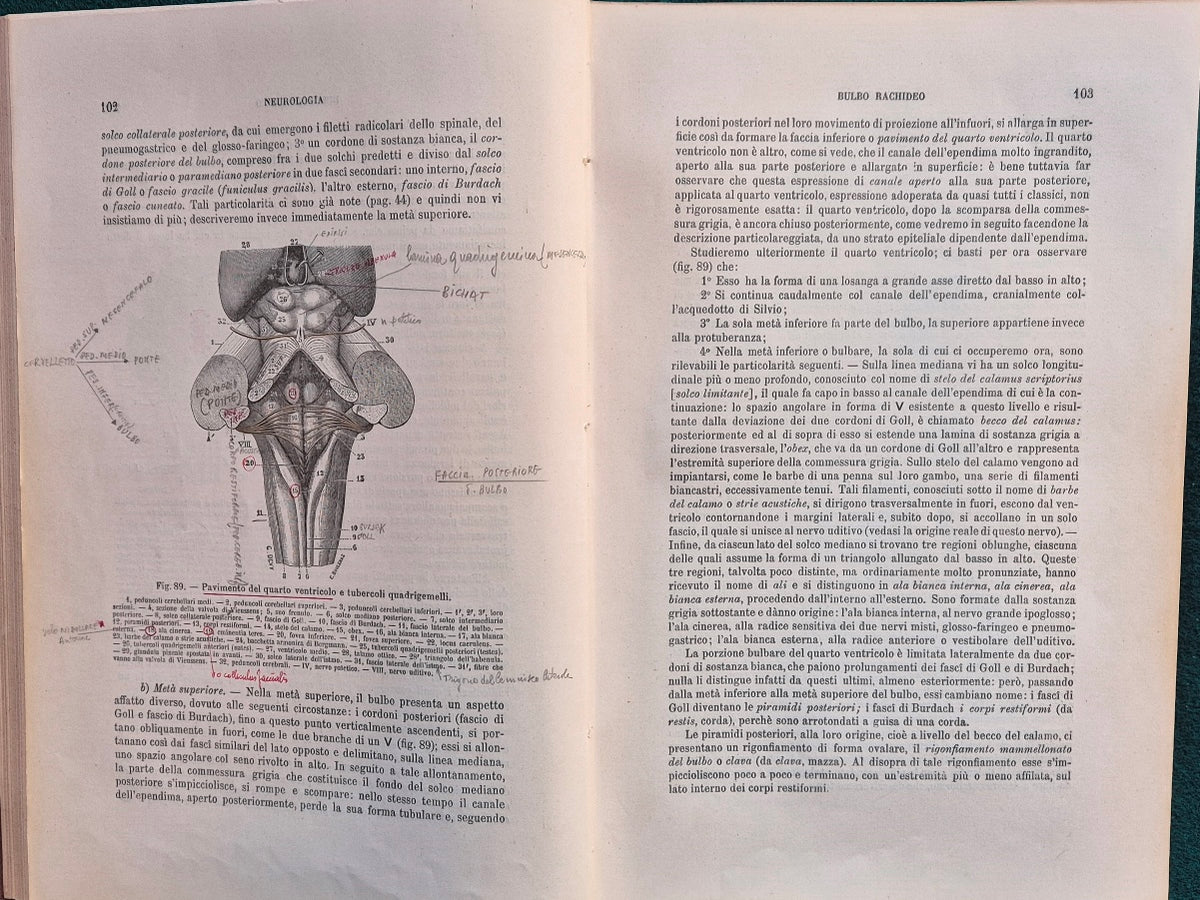 Trattato di anatomia umana - Vol. II (Parte seconda-Parte terza) Neurologia