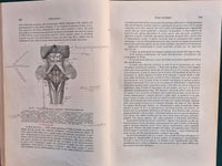 Trattato di anatomia umana - Vol. II (Parte seconda-Parte terza) Neurologia