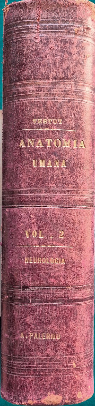 Trattato di anatomia umana - Vol. II (Parte seconda-Parte terza) Neurologia