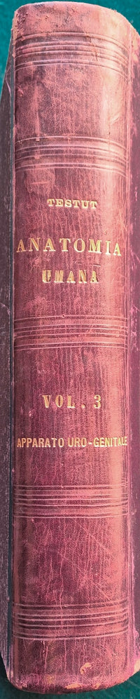 Trattato di anatomia umana - Vol. III Apparato uro-genitale - Embriologia