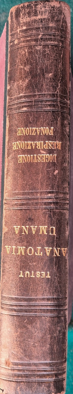 Trattato di anatomia umana - Vol. IV Apparati della digestione, della respirazione e della fonazione