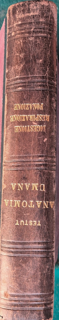 Trattato di anatomia umana - Vol. IV Apparati della digestione, della respirazione e della fonazione