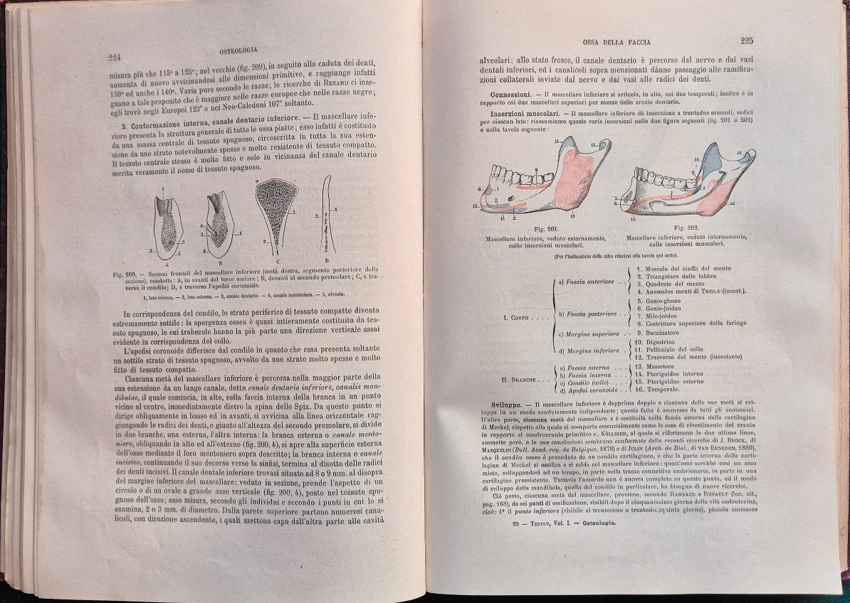 Trattato di anatomia umana - Vol. I Osteologia - Vol. I Artrologia