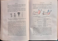 Trattato di anatomia umana - Vol. I Osteologia - Vol. I Artrologia