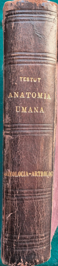 Trattato di anatomia umana - Vol. I Osteologia - Vol. I Artrologia