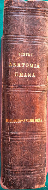 Trattato di anatomia umana - Vol. I Miologia - Vol. II Angiologia