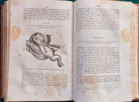 Manuale completo di ostetricia