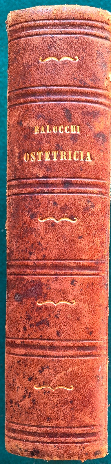 Manuale completo di ostetricia