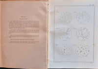 Atlante di microscopia clinica
