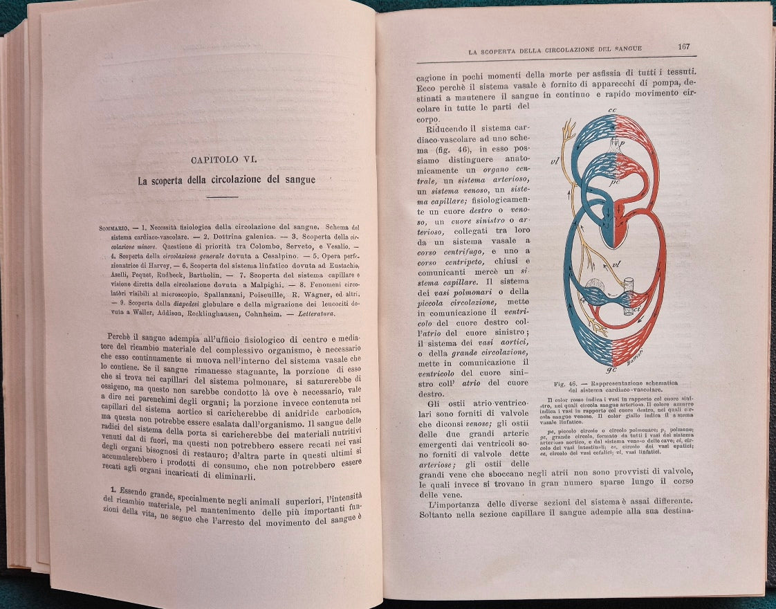 Fisiologia dell'uomo