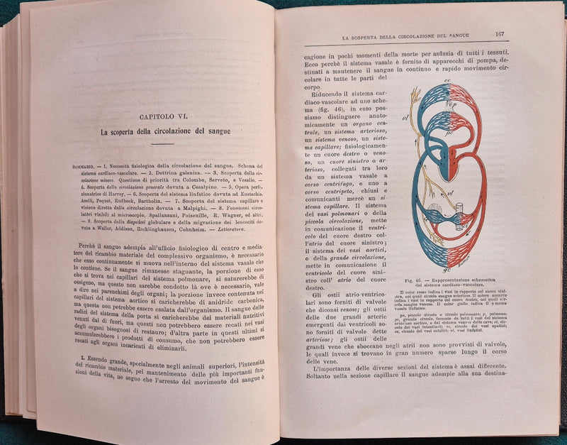 Fisiologia dell'uomo