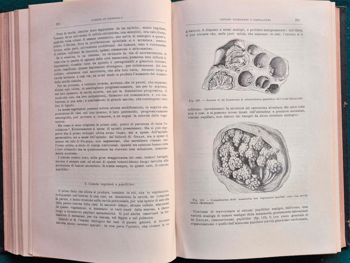 Compendio di patologia chirurgica