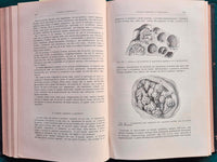 Compendio di patologia chirurgica