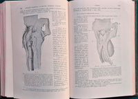 Trattato di anatomia patologica speciale