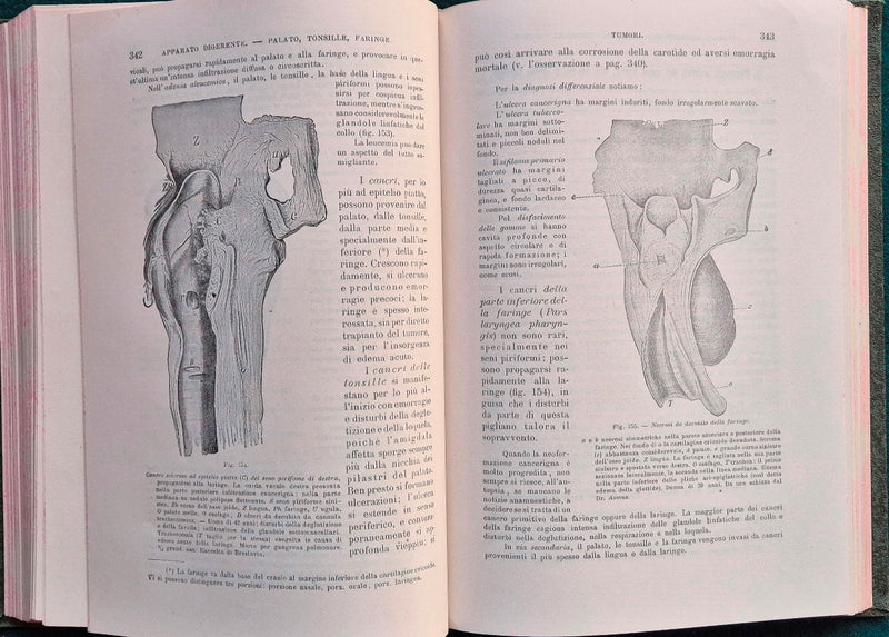 Trattato di anatomia patologica speciale