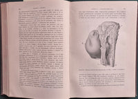 Trattato di patologia e terapia chirurgica generale e speciale - Vol. II