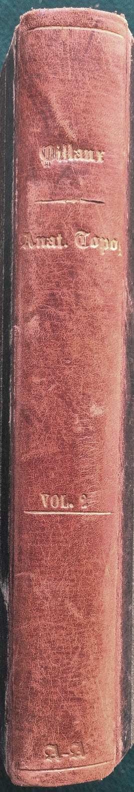 Trattato di anatomia topografica con applicazioni alla chirurgia - Parte II