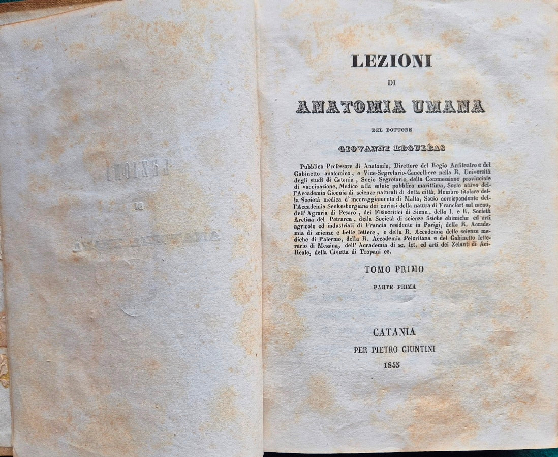 Lezioni di anatomia umana