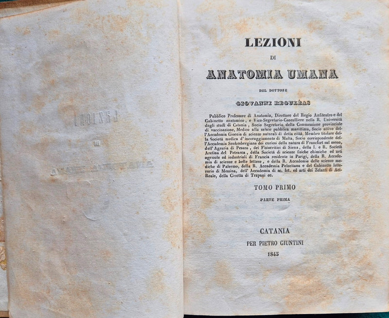 Lezioni di anatomia umana