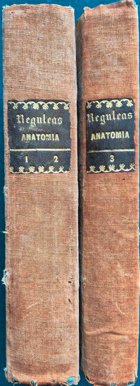 Lezioni di anatomia umana