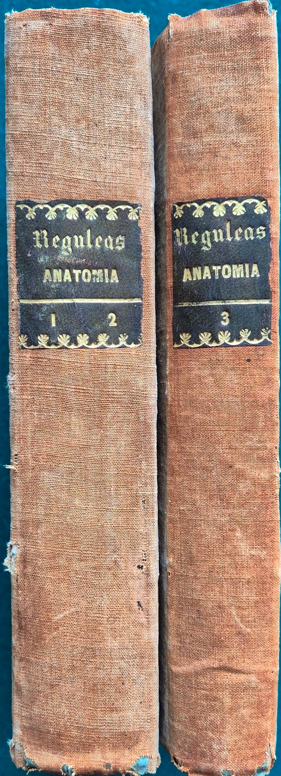 Lezioni di anatomia umana