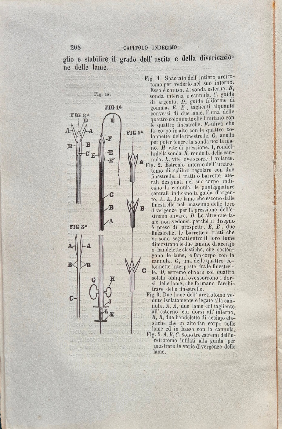 Trattato pratico degli stringimenti organici dell'uretra