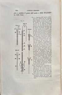 Trattato pratico degli stringimenti organici dell'uretra