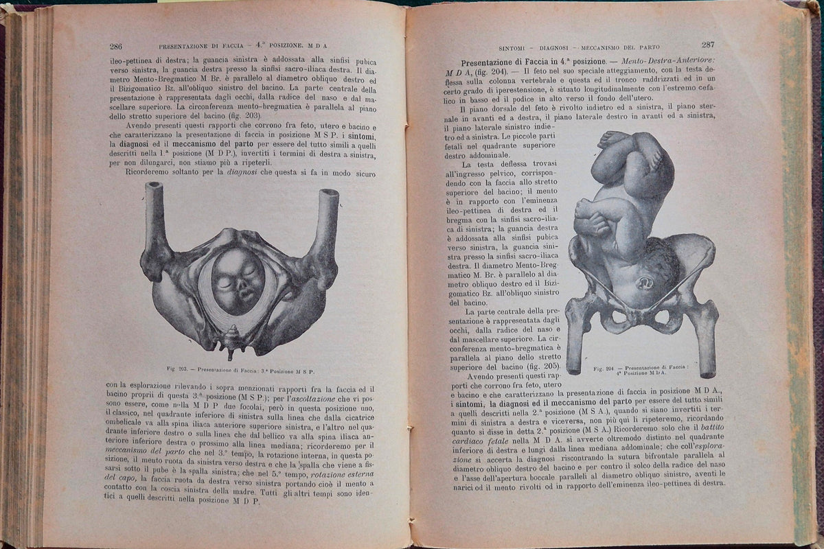 Trattato di ostetricia - Parte I - Fisiologia della gravidanza